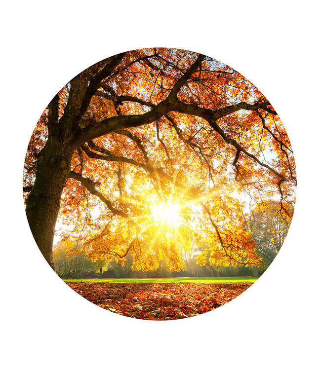 Rundes  Akustikbild "Autumn sunset"-in einem eleganten Aluminiumrahmen