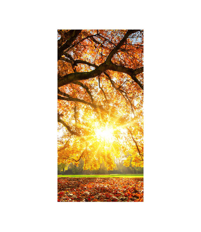 Akustikbild "Autumn sunset"- in einem eleganten Aluminiumrahmen