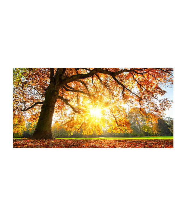 Acoustic picture "Autumn sunset" - in an elegant aluminum frame