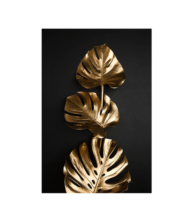 Akustisk bilde"Gold monstera"- - i en elegant aluminiumsramme