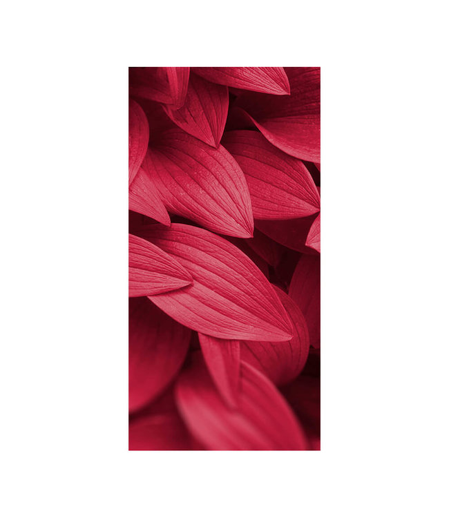 Akustikbild "Viva Magenta Leaves" - in einem eleganten Aluminiumrahmen