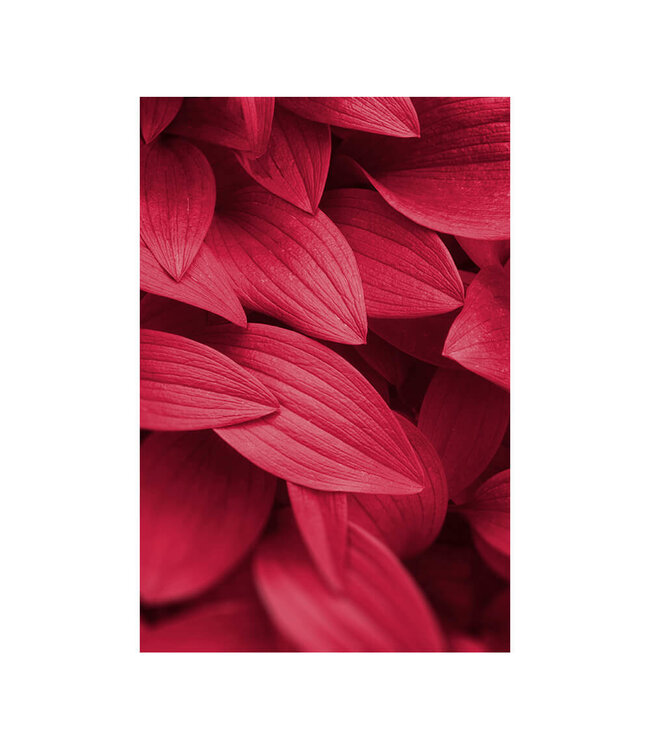 Acoustic picture "Oriental Gold"- in an elegant aluminum frame