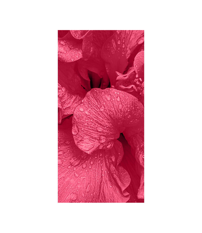 Acoustic picture "Viva Magenta Flower"   in an elegant aluminum frame