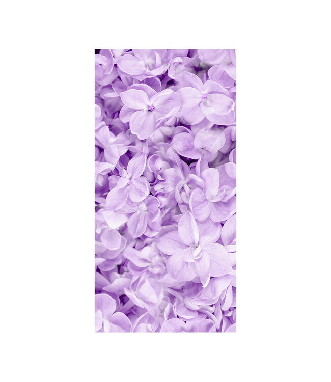Akustikbild "Lilac Flower" - in einem eleganten Aluminiumrahmen
