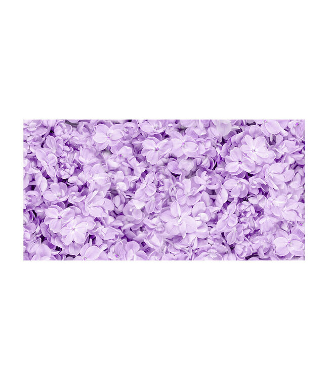 Akustikbild "Lilac Flower" - in einem eleganten Aluminiumrahmen