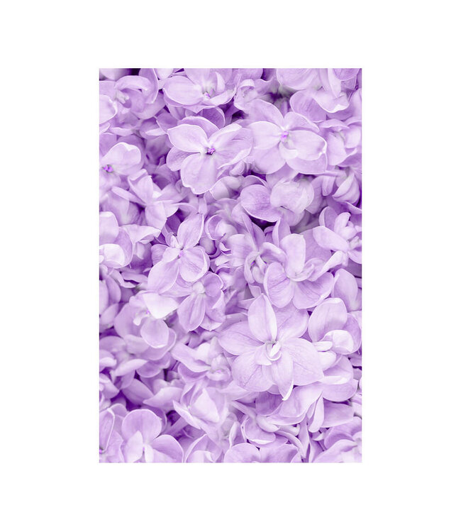 Acoustic picture "Lilac Flower" - in an elegant aluminum frame