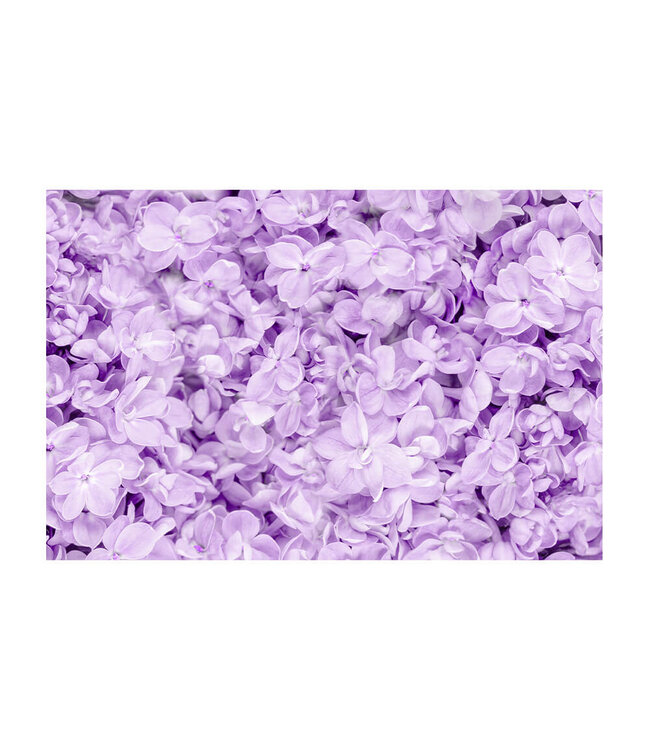 Acoustic picture "Lilac Flower" - in an elegant aluminum frame