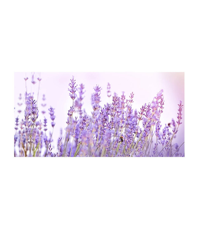 Akustikbild "Lavender Flower" - in einem eleganten Aluminiumrahmen