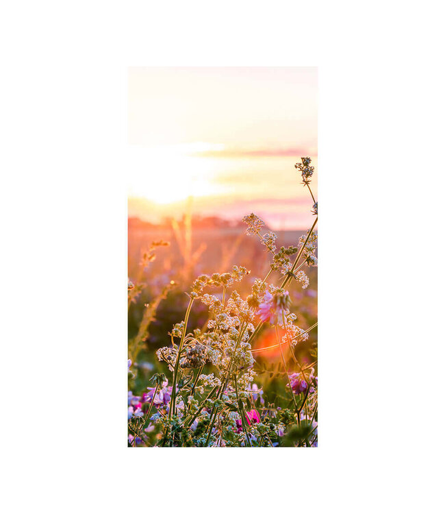 Akustikbild "Wildflowers" - in einem eleganten Aluminiumrahmen