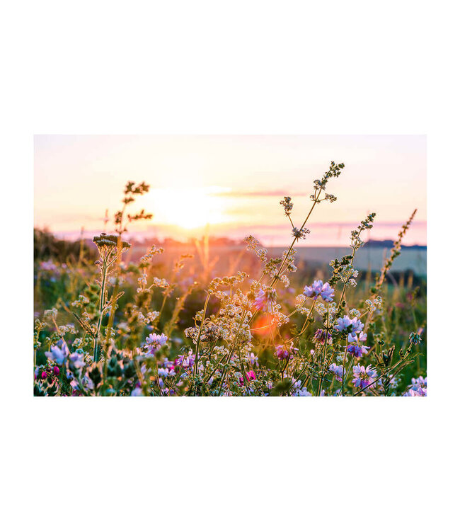 Acoustic picture "Wildflowers"- in an elegant aluminum frame