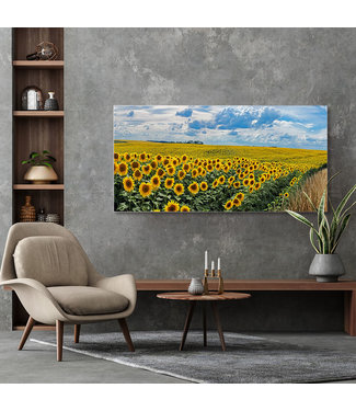 Akustisk bilde "Sunflowers"