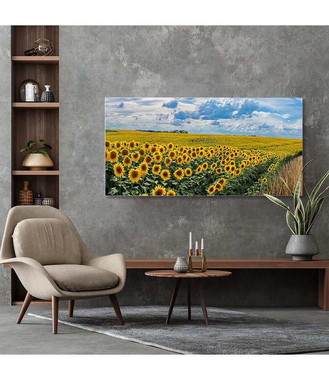 Acoustic picture "Sunflowers"- in an elegant aluminum frame