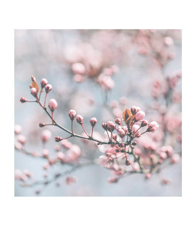 Acoustic picture "Pastel Blooming"- in an elegant aluminum frame