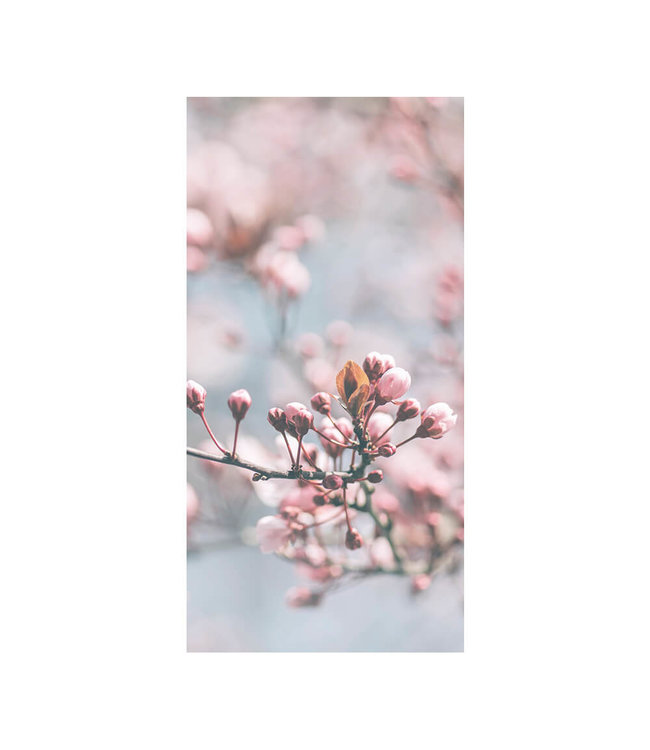 Acoustic picture "Pastel Blooming"- in an elegant aluminum frame