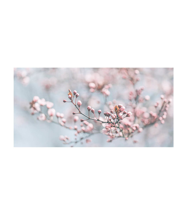 Akustisk bilde "Pastel Blooming" i en elegant aluminiumsramme