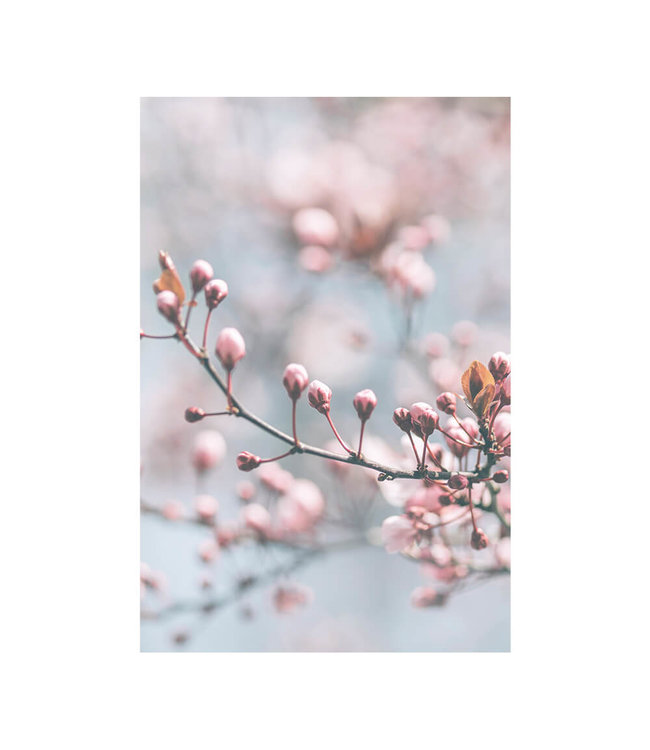 Acoustic picture "Pastel Blooming"- in an elegant aluminum frame