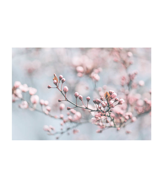 Acoustic picture "Pastel Blooming"- in an elegant aluminum frame