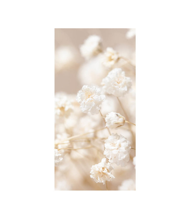 Acoustic picture "Gypsophila"- in an elegant aluminum frame