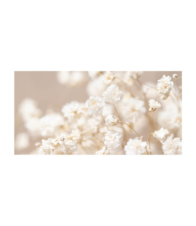 Akustisk bilde "Gypsophila" i en elegant aluminiumsramme