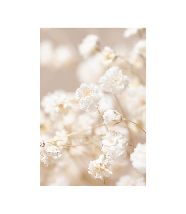 Acoustic picture "Gypsophila"- in an elegant aluminum frame