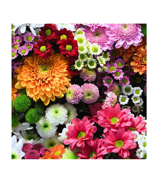 Akustisk bilde "Flower wall" i en elegant aluminiumsramme