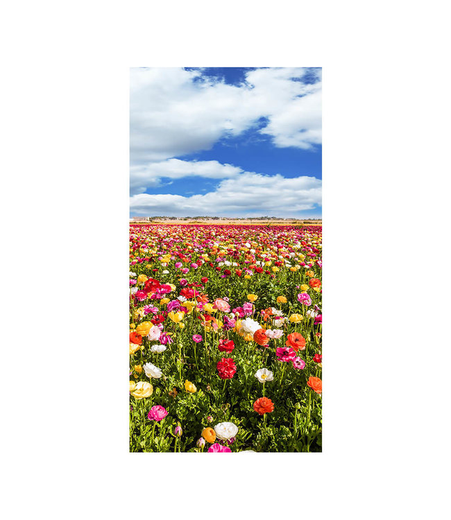 Akustikbild "Buttercup field" - in einem eleganten Aluminiumrahmen