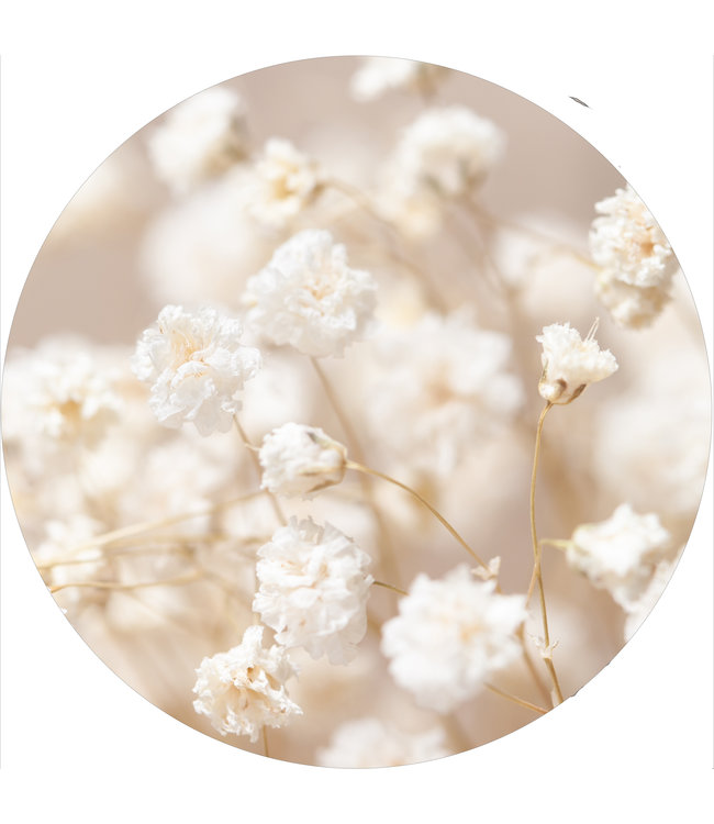 Rundes  Akustikbild "Gypsophila"-in einem eleganten Aluminiumrahmen