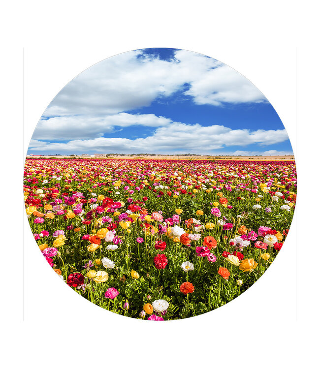 Round acoustic picture "Buttercup Field"- in an elegant aluminum frame