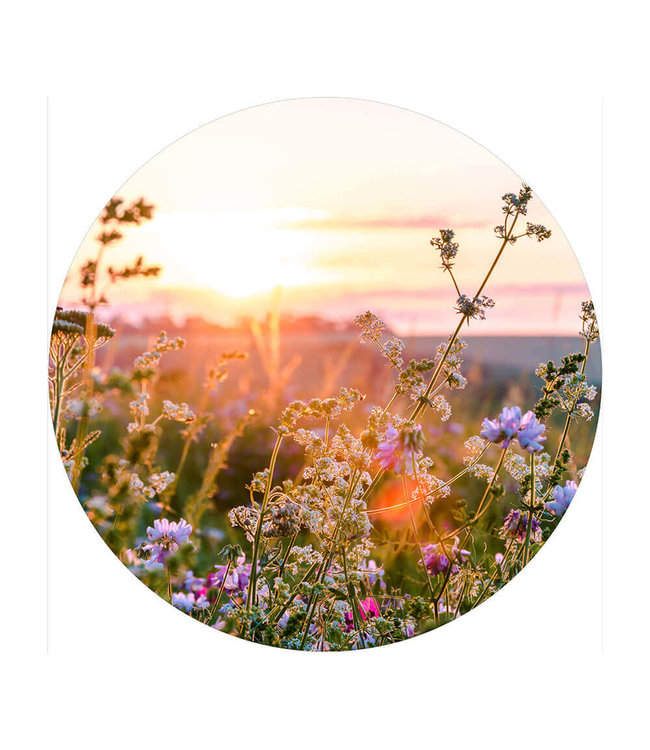 Round acoustic picture "Wildflowers"- in an elegant aluminum frame