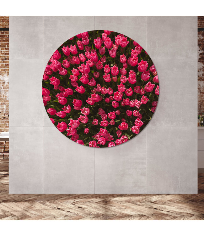 Rundt akustisk bild "Magenta tulip field" - i en elegant aluminiumsramme