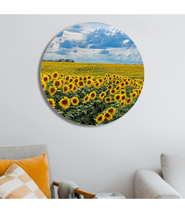 Rundt akustisk bild "Sunflowers" - i en elegant aluminiumsramme