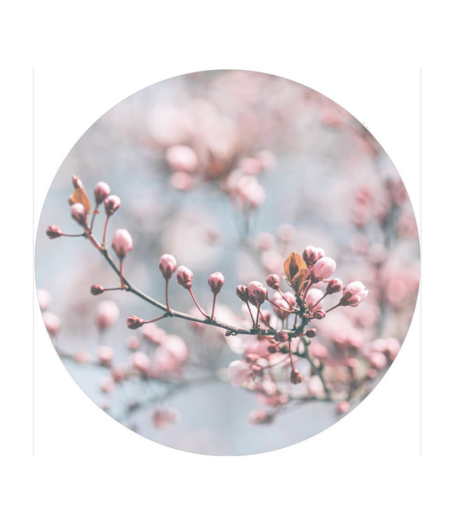 Rundt akustisk bild "Pastel Blooming" - i en elegant aluminiumsramme