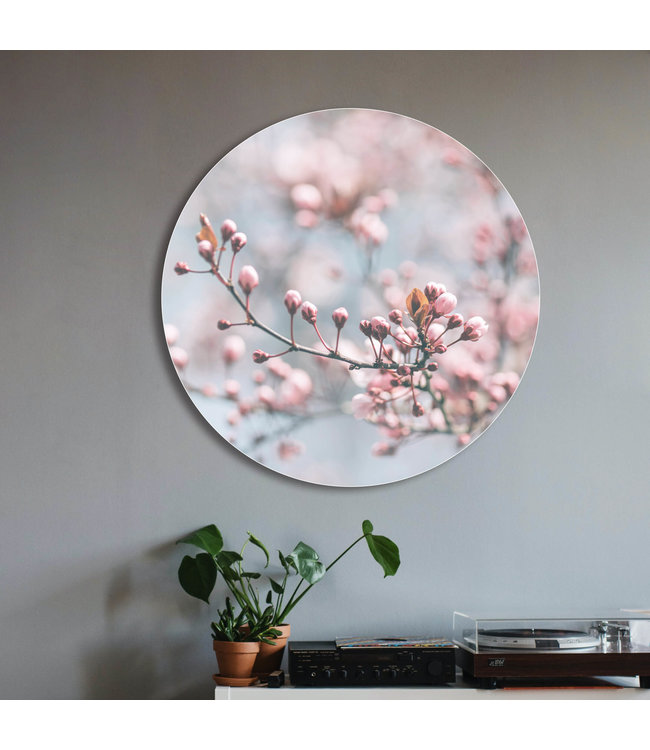 Rundt akustisk bild "Pastel Blooming" - i en elegant aluminiumsramme