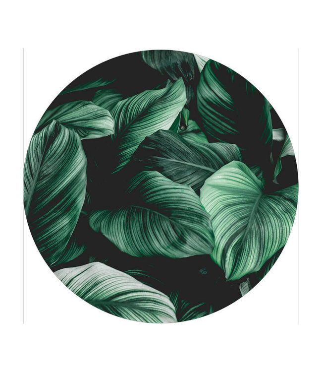 Rundes  Akustikbild "Nature Background"-in einem eleganten Aluminiumrahmen