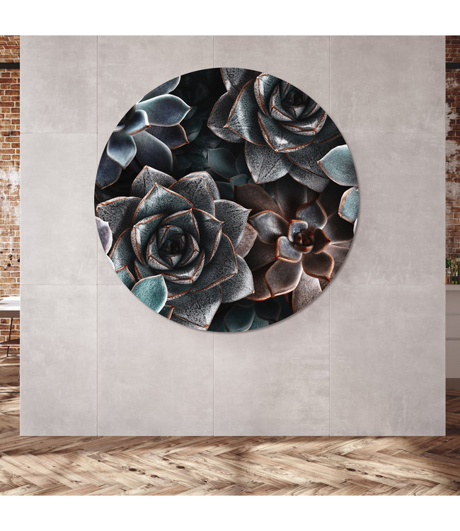 Round acoustic picture "Succulent plants" in an elegant aluminum frame