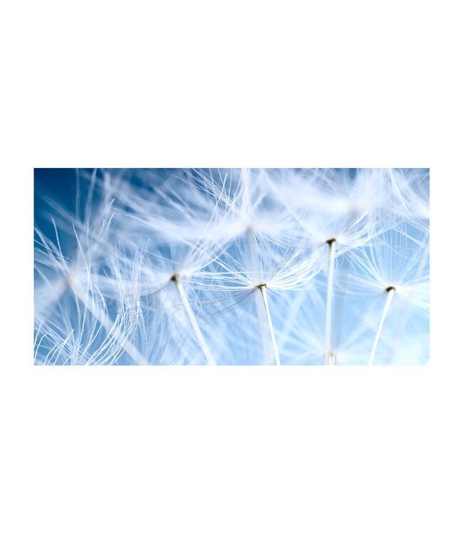 Acoustic picture "Blue Dandelion"- in an elegant aluminum frame