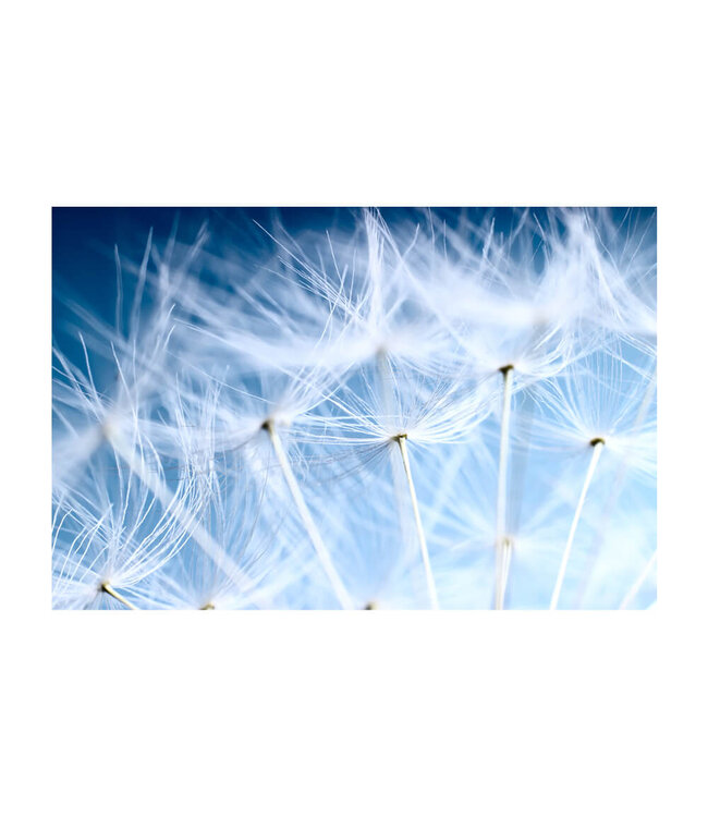 Acoustic picture "Blue Dandelion"- in an elegant aluminum frame