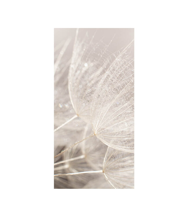 Akustikbild "Macro Seed" - in einem eleganten Aluminiumrahmen