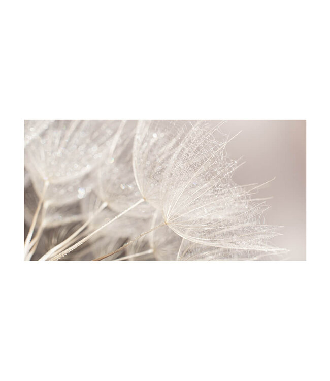 Akustikbild "Macro Seed" - in einem eleganten Aluminiumrahmen