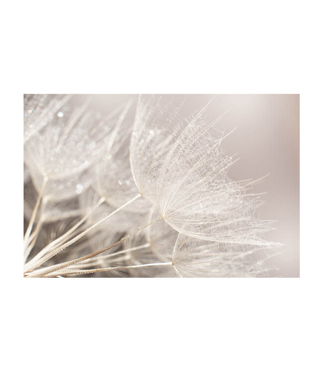 Akustikbild "Macro Seed" - in einem eleganten Aluminiumrahmen