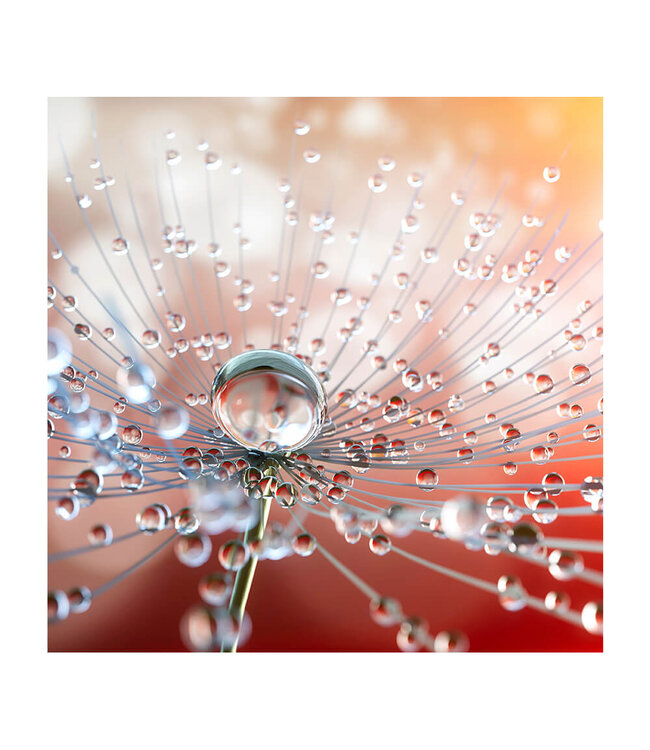 Acoustic picture "Dew drops"- in an elegant aluminum frame