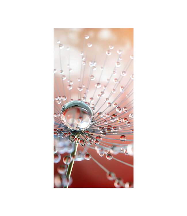 Akustikbild "Dew drops" - in einem eleganten Aluminiumrahmen
