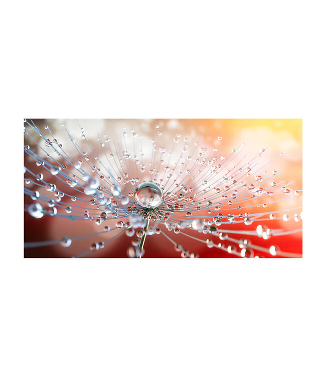 Akustikbild "Dew drops" - in einem eleganten Aluminiumrahmen