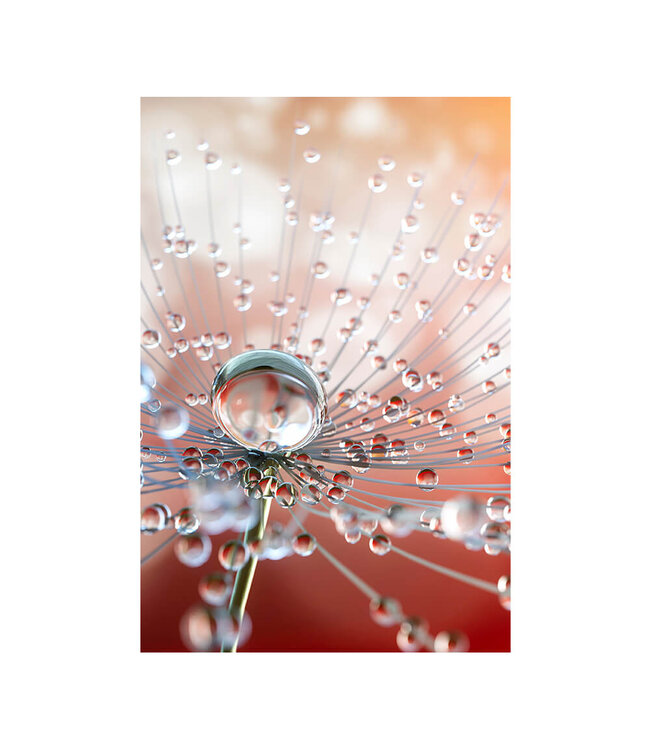 Akustikbild "Dew drops" - in einem eleganten Aluminiumrahmen