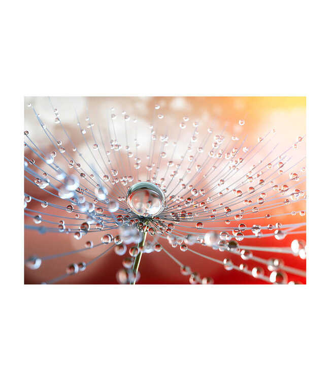 Acoustic picture "Dew drops"- in an elegant aluminum frame