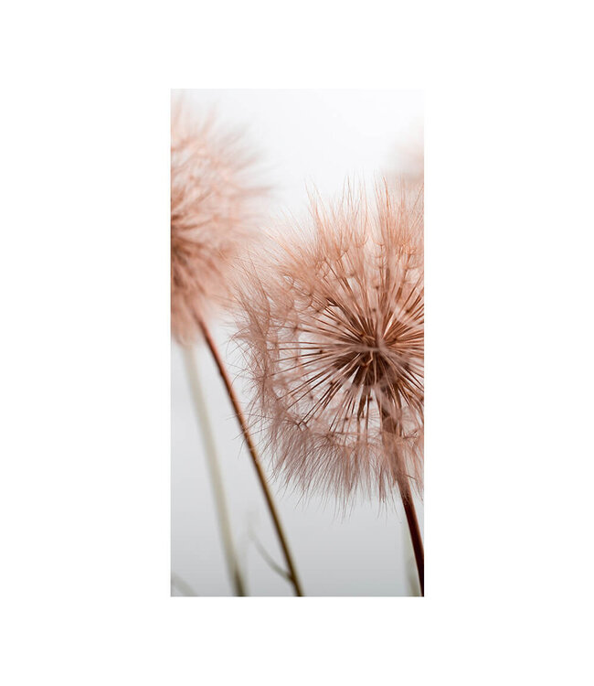 Akustikbild "Summer plant" - in einem eleganten Aluminiumrahmen