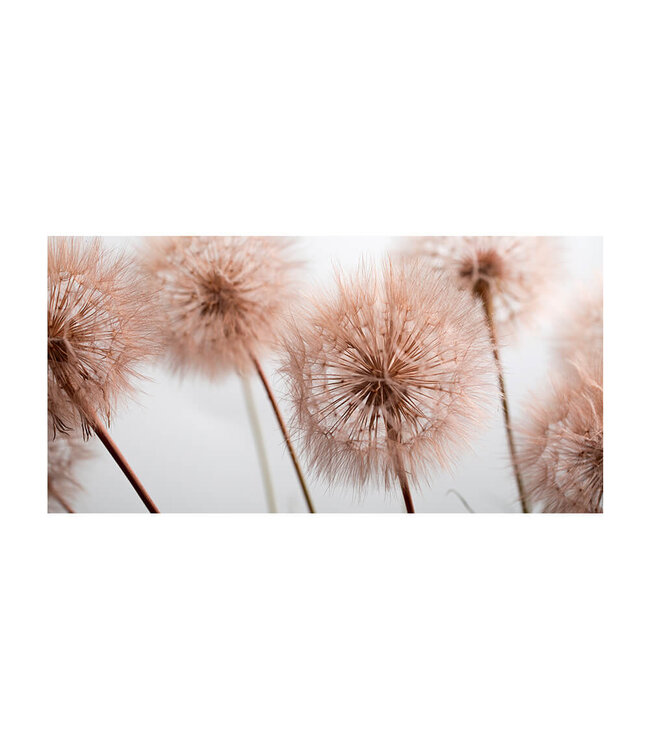 Akustikbild "Summer plant" - in einem eleganten Aluminiumrahmen