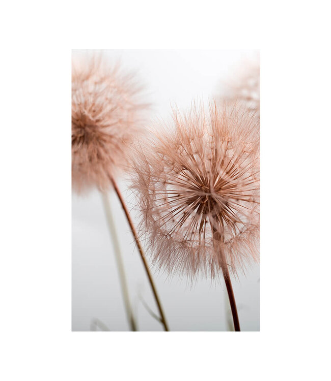 Acoustic picture "Summer plant"- in an elegant aluminum frame