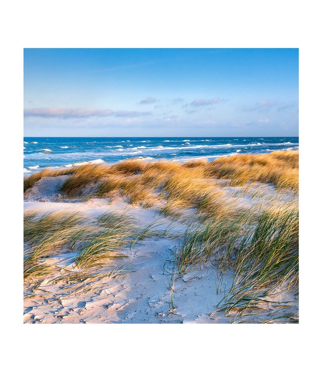 Akustisk bilde "Coastal Dunes" i en elegant aluminiumsramme