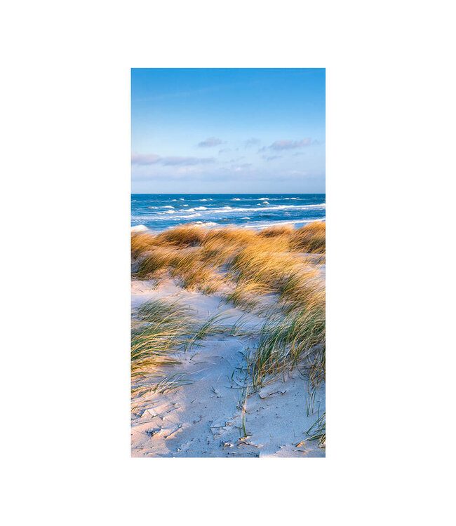 Akustisk bilde "Coastal Dunes" i en elegant aluminiumsramme